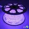 220V luz de alto voltaje 60 LED/metro de la cuerda del multicolor LED fácil instalar
