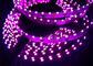 La púrpura germicida ULTRAVIOLETA de UVA C llevó las tiras llevadas ultravioleta ligeras 254nm 360nm 365nm 455nm de la tira SMD335