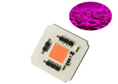 El espectro completo llevado MAZORCA Driverless de la eficacia alta 100W AC220v 380-780nm crece el microprocesador ligero para la luz cada vez mayor llevada de la planta