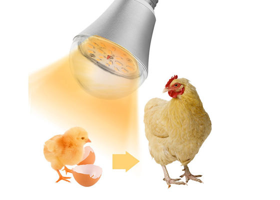 Luces Dimmable 9W de la iluminación de la prenda impermeable LED de la granja de pollo
