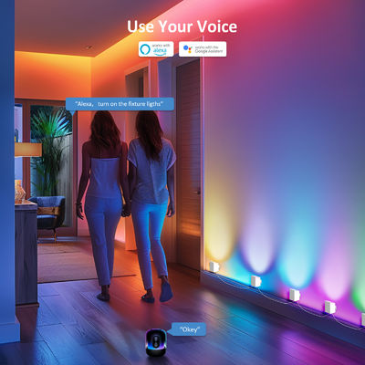 Control Bluetooth Direccionable RGBCW Smart Pared Sconces / Eave luces para la decoración de Navidad